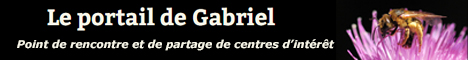 Le portail web de gabriel